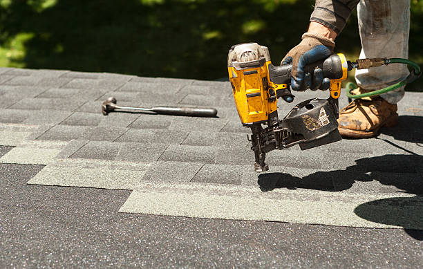 Best Roof Insulation Installation  in Susitna North, AK